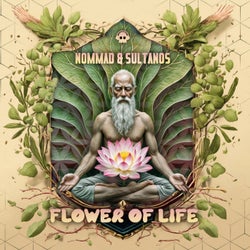 Flower of Life
