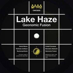 Geonomic Fusion