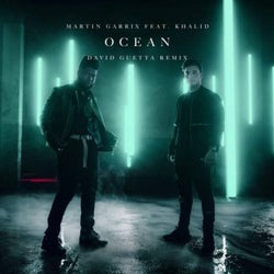 Ocean (David Guetta Extended Remix)