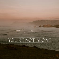 You're Not Alone - James Carter Remix