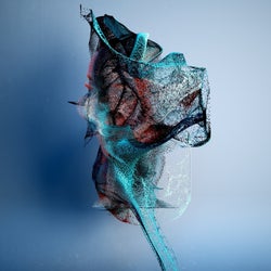 Confusion Of A Lady