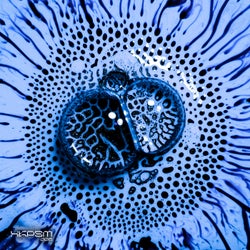 XKPSM005