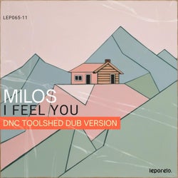 I Feel You (DNC Toolshed Dub Version)