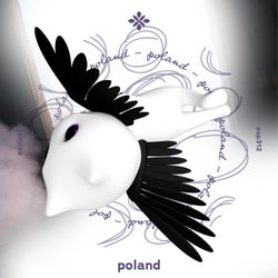 Poland (i Took The Wock To Poland) - Acoustic