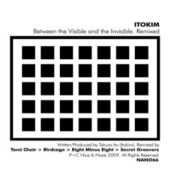 Between The Visible And The Invisible (Remixed)