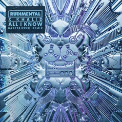 All I Know (Basstripper Remix)
