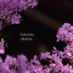 Halutatu