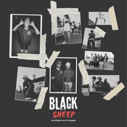 Black Sheep