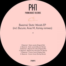 Static Woods EP (incl. Bucurie, Anas M. , Komey remixes)