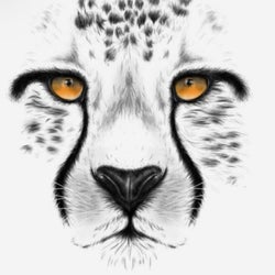 Opening Set- Rowland