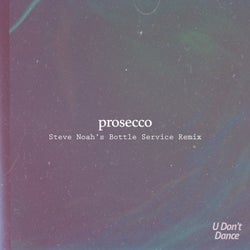 Prosecco (Steve Noah's Bottle Service Remix)
