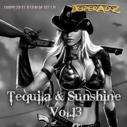 Tequila & Sunshine, Vol.13 (Compiled by Mario De Bellis)