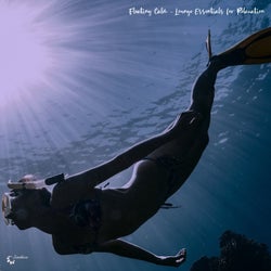 Floating Calm - Lounge Essentials for Relaxation