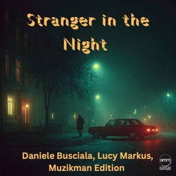 Stranger In The Night