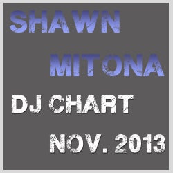 Shawn Mitona Chart Balance November 2013.