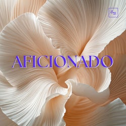 Aficionado