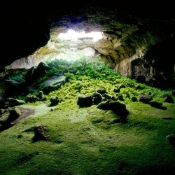 The  green cave