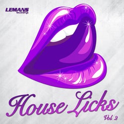 House Licks, Vol. 2