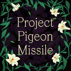 Project Pigeon Missile