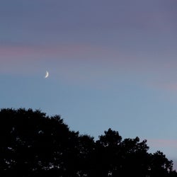From Afar