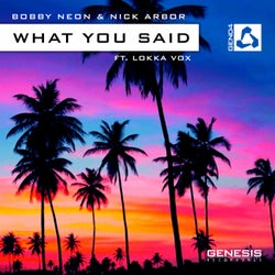What You Said (feat. Lokka Vox)