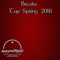 Breaks Top Spring 2018