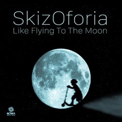 Like Flying to the Moon