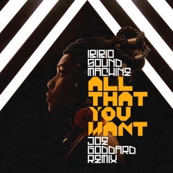 All That You Want (Joe Goddard Remix)