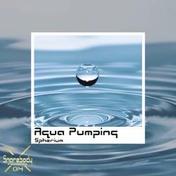 Aqua Pumping