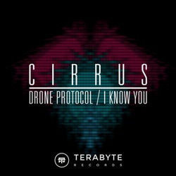 Drone Protocol / I Know You