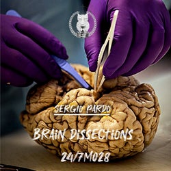 Brain Dissections