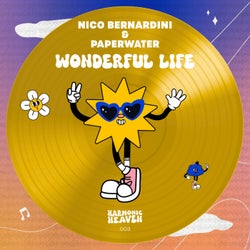Wonderful Life
