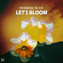 Let's Bloom