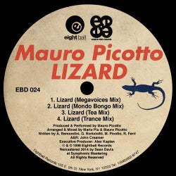 Cover für Lizard