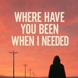Where Have You Been When I Needed