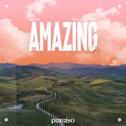 Amazing (feat. Eirik Næss) [Extended Mix]