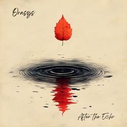 After the Echo