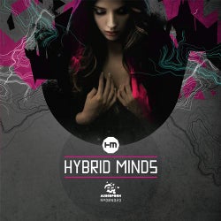 Hybrid Minds