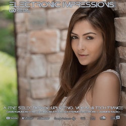 Electronic Impressions 913
