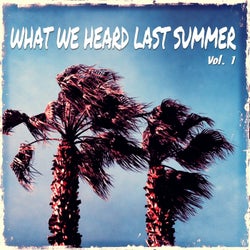 What We Heard Last Summer, Vol. 1 (Best Of Chill Out & Lounge Music)