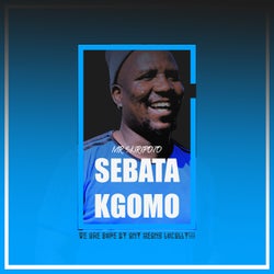 Sebata Kgomo