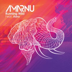 Running Wild (feat. Aero)
