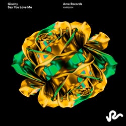 Say You Love Me (Extended Mix)