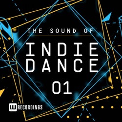 The Sound Of Indie Dance, Vol. 01