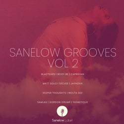 Sanelow Grooves, Vol. 2