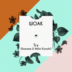 Try (Kazoow & Helio Kiyoshi)