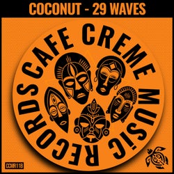 29 Waves