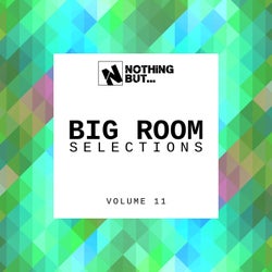 Nothing But... Big Room Selections, Vol. 11
