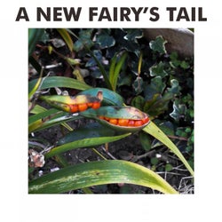 A New Fairy's Tail