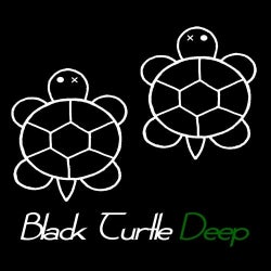 Black Turtle Deep // July 2019